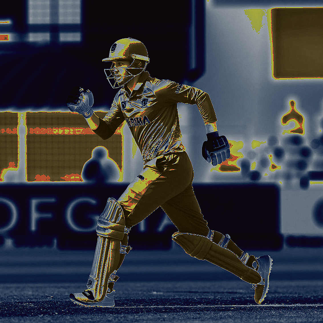 After the Last Roar: 704 Wickets, an Empty Pavilion, and the Invisible Silence of Cricket